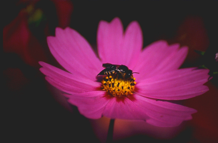 (No 13) Back to index