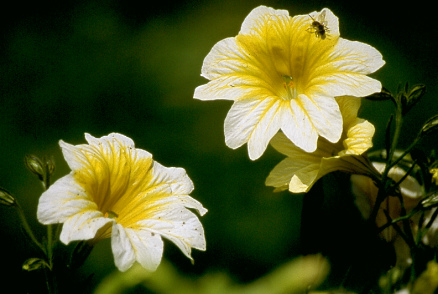 (No 14) Back to index