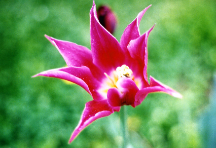 (No 18) Back to index