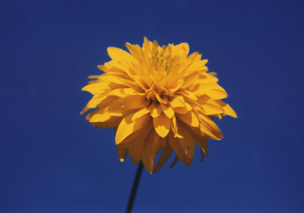 (No 19) Back to index